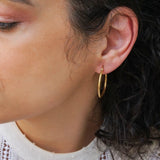 Classic Gold Hoop Earrings