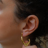 Χρυσοί Κρίκοι με Καμπύλη Φόρμα