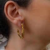 Χρυσοί Κρίκοι με Καμπύλη Φόρμα