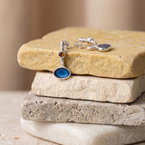 Silver Long Enamel Earrings