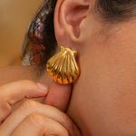 Gold Shell Stud Earrings