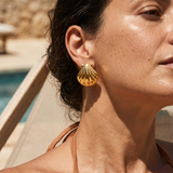 Gold Shell Stud Earrings